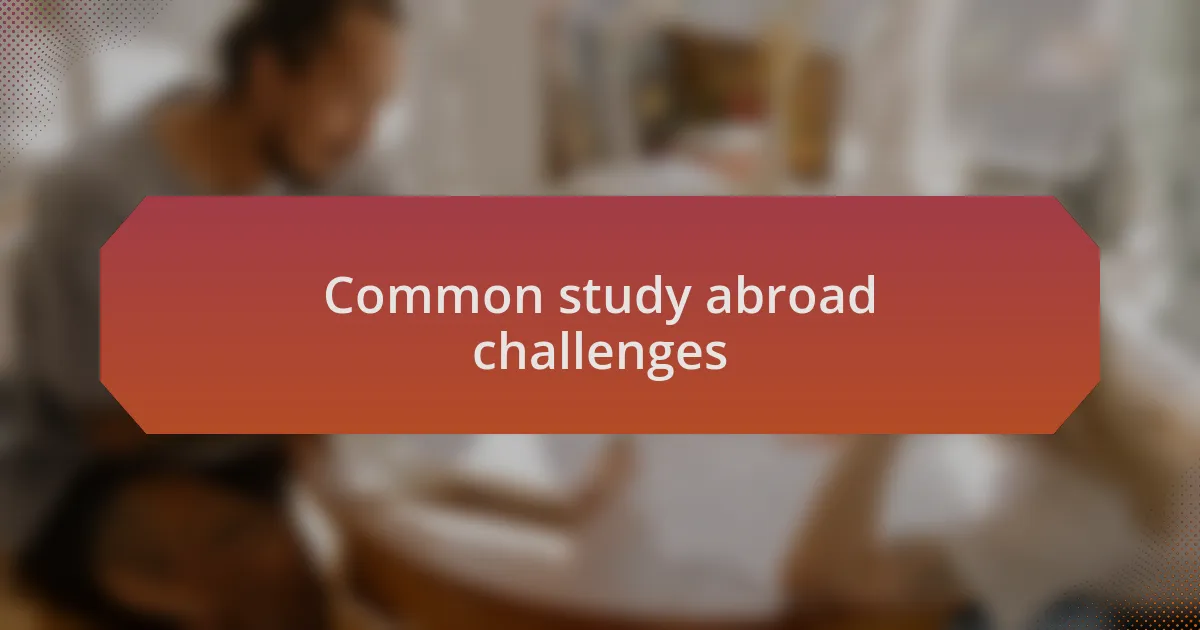Common study abroad challenges