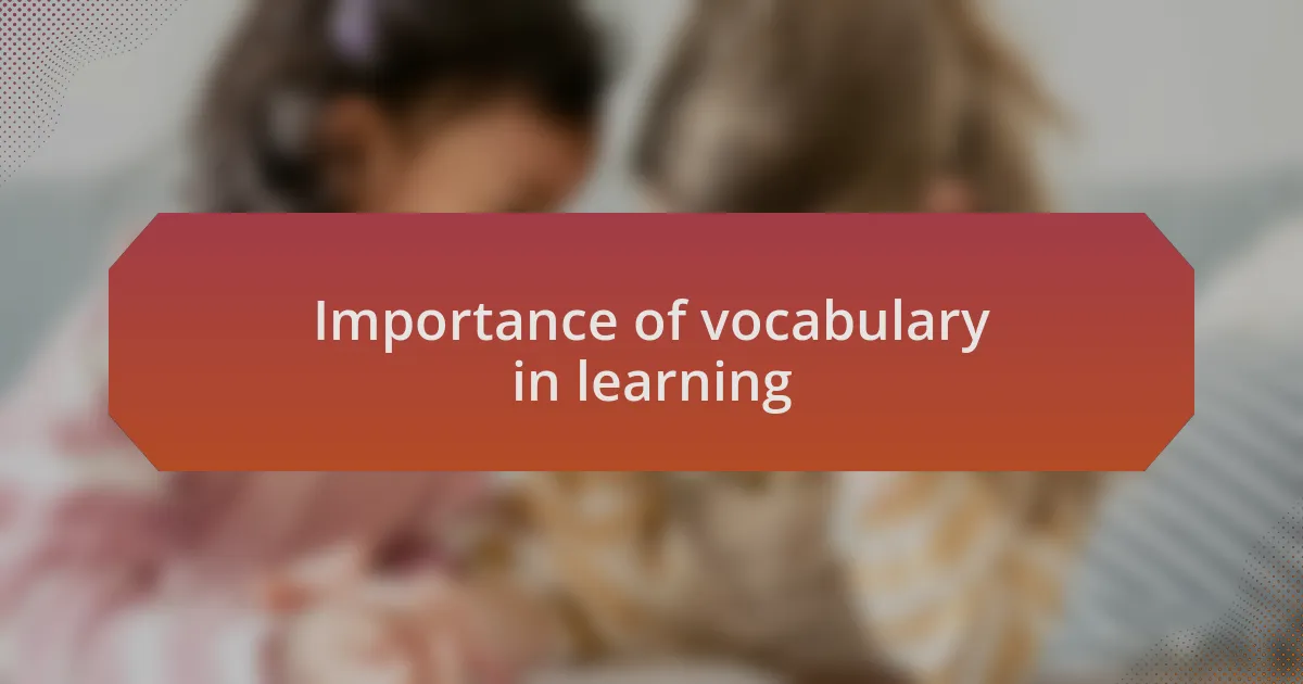 Importance of vocabulary in learning