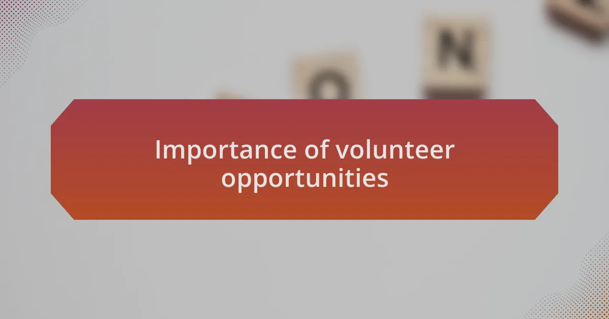 Importance of volunteer opportunities