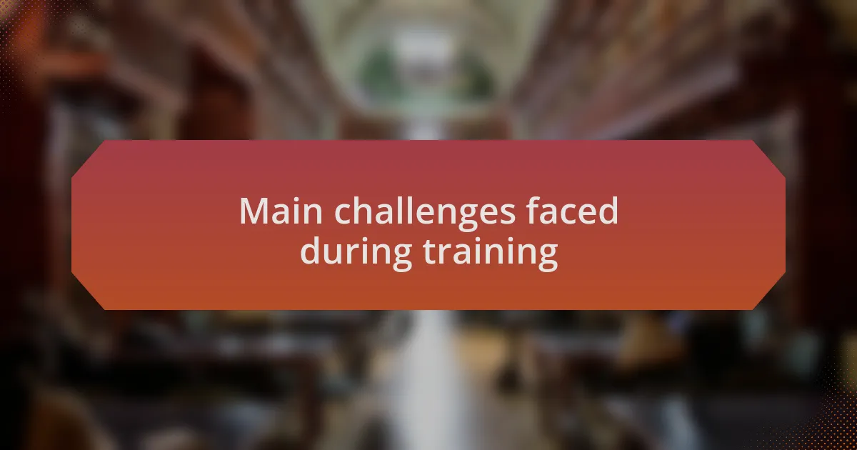 Main challenges faced during training