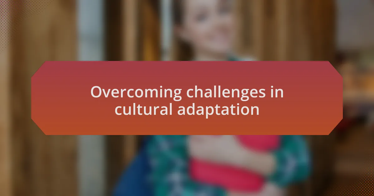 Overcoming challenges in cultural adaptation